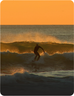 SURF